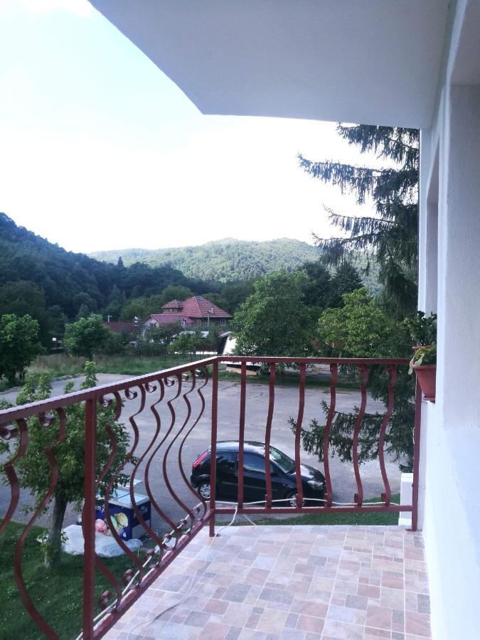 Pensiunea Costesti Luaran gambar